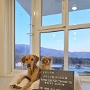 스테이 루비 이미지