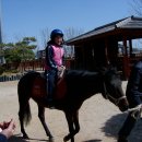 경마공원 이미지