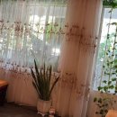 와우(WOW)호텔 이미지