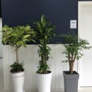 첨단사랑동물병원 이미지