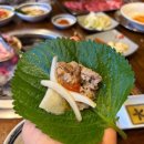 손가네식당