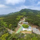 자연-이미지 이미지