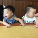 한입애만족 | 놀이매트/초록마을 쌀튀밥/초록마을 우리아이한입애 쌀과자/초록마을 쌀과자/동학사 도덕봉가든/과자...
