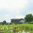 효곡동 열린 작은도서관 | 서울 가볼만한곳 열린송현 녹지광장, 수국과 야생화 사이로 걷는 안국역 산책