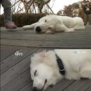 미동농장 이미지