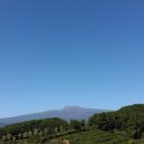 신효동-16 이미지