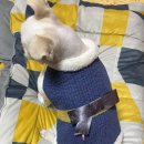 이.옷이쁜옷장