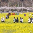 상맹방1리마을회관 이미지