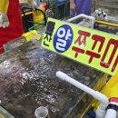 이서시장 | 가락시장 배달 내돈내산 횟집, 도다리 만족후기 | 영재수산