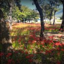 다숲민박 | 남해 가볼만한곳 현지인 명소 추천