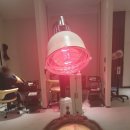 경아치과의원 | 분당 여성탈모 맥스웰 피부과 탈모치료 내돈내산 +18회 후기