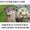 해달