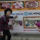 고바우이발관 Daum카페