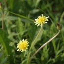 구덕초등학교 이미지