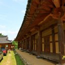 하얀민들레마을 이미지