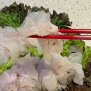 회뜨는 달인 | 통영맛집 통영중앙시장 회포장 추천 맛집 신선한 털보활어