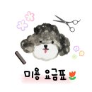 꽃단장하시개 이미지