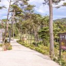 물댄동산 이미지