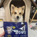 강아지 기력회복 간식 추천! 목우촌 펫9단 멍수무강 한우 영양간식 솔직후기