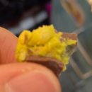 먼치번치범계역점 | <내돈내산 두바이초콜릿 리얼 후기: 처음 먹어보는 맛, 두바이초콜릿 파는 곳>(feat. 피스타치오 초콜릿)