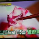 알토란 원승식의 양배추절임, 양배추초절임 이미지