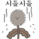스토리위너컴퍼니