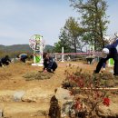 세광아파트공원 이미지