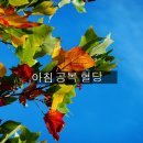 아침공복혈당 9월 3일 이미지