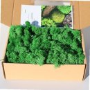 케이그린(주) 이미지