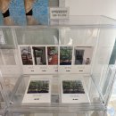 문멍 | [강화] 강화도 감성 카페 ‘멍때림’ 무료 공연 관람 후기