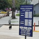 올림푸스펜션 | 튀르키예 겨울 자유여행 7편(안탈리아 구시가지 숙소 바쿠스펜션)