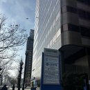 11500-19-57-107 | [서울] 여의도 샐러드 맛집_렐란디