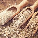 애플GYM.PT 이미지