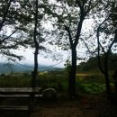 아젤리아 펜션 이미지