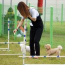 반려동물 관리사 이미지