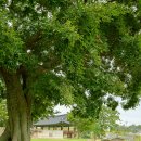 무장읍성 이미지