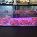 미소임당 | 쌍문역 소고기 맛집 미소임당 솔직후기