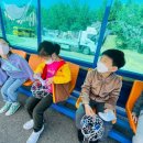 숲또래 협동조합 이미지