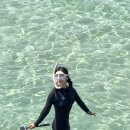 3mm앞지퍼다이빙슈트 입고 지금 바다에 뛰어들어봤더니? 제주 판포포구 리얼체험