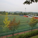 능서레포츠공원 축구장 이미지