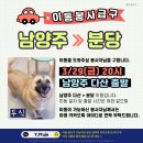 [함안보호소 유기견] “”급“” 🐶두식이의 이동봉사자님을 찾아요 (남양주 출발 -분당도착) 이미지