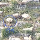 작은섬 1 이미지