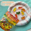 헬로감귤 | [간식]하리보 한정판 젤리 헬로 제주 내돈내산 솔직후기|제주의 맛을 담은 하리보 한국 한정판 젤리