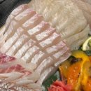 회뜨는친구