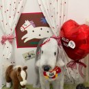 알로하펫 이미지