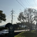 세븐에이치 | 함안 커피 맛집 세븐에이치카페 | 아기랑 다녀온 후기