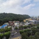 오봉오거리(동) | 대구북구아파트매매 침산동 침산2지구아파트 1억이하,1인가구 추천 소형아파트 매물
