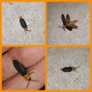 무태낚시터 이미지