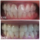 장혜영미용실 | 하이리빙 박다희의 성공습관10core(2000-1137)"나는 오너다"