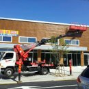 고령차유리 이미지